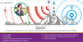High Power Cell Signal Amplifier. Special to Create a Cell Zone in Rural Areas or Remote Communities. 95 dB Gain, 20 Watts Power, 850 MHz Frequency Band. Up to 3.11 Linear Miles of Coverage