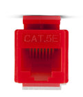 Jack Cat5e Toolless, for faceplate Keystone - Red Color