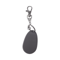 Tag for Key Chain, 2.4 GHz, Up to 80 m of Linear Reach, Compatible with RFID reader PRO-80RF