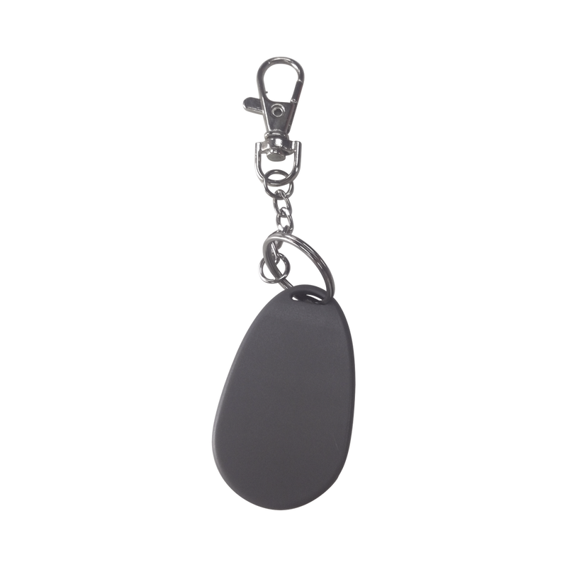 Tag for Key Chain, 2.4 GHz, Up to 80 m of Linear Reach, Compatible with RFID reader PRO-80RF
