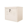 Cabinet Designed for Battery Storage Ideal for Solar Integrations.