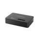 ATA 4 Ports FXS Ports with 2 Gigabit Network