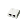 Wall Box 2-Port UTP CAT5e Jack
