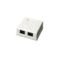 Wall Box 2-Port UTP CAT5e Jack