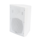 Wall Mount Speaker | 5W, 10W, 20W, 40W, 80W