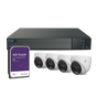 IP KIT / NVR 8 Channels / 4 Turret Cameras Color 24/7 / HDD